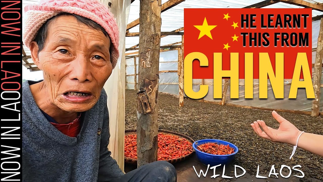 WILD LAOS - This is How CHINA Likes it
