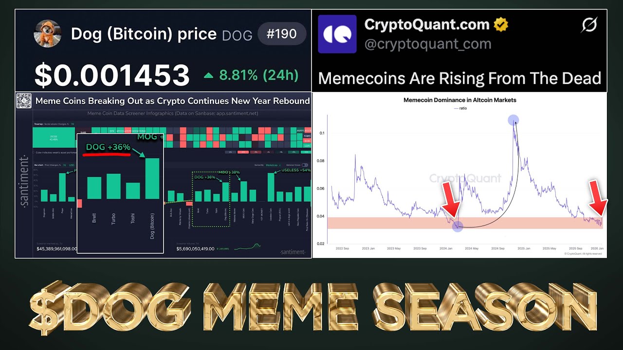 $DOG Leading Memecoin Season (Data Revealed) 🐕🚀🌖