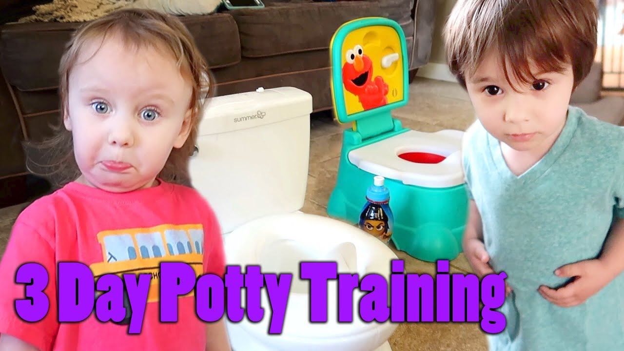 3 Day Potty Training Method With TWINS!