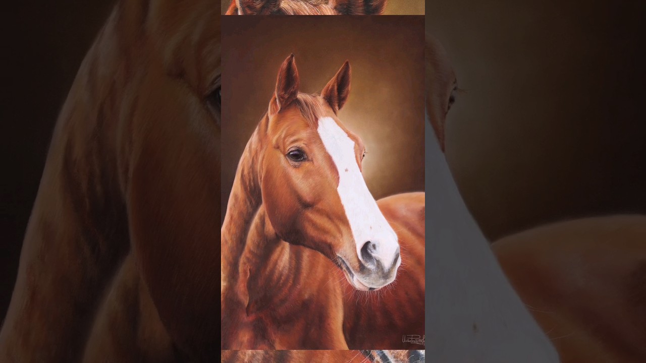 Pferd Djuke verewigt als Kunstwerk - Pferd zeichnen lassen #shorts