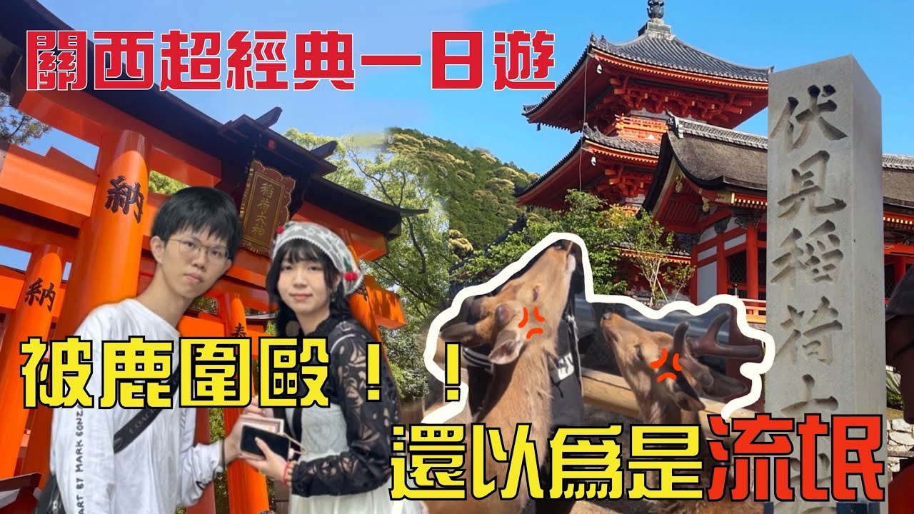 奈良餵鹿🦌差點手指被吃掉！？奈良、清水寺、稻荷神社美景大滿足👀［關西一日遊］