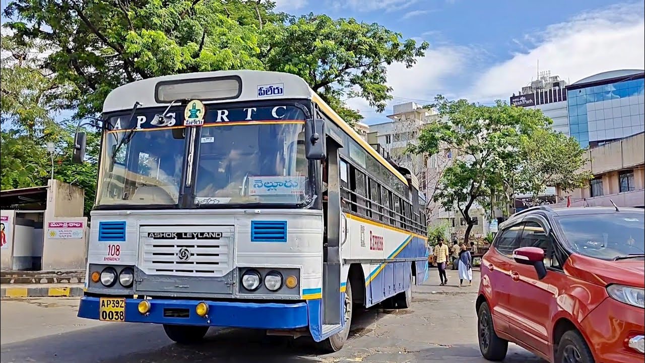 Nellore Bus Stand Morning Arrivals Buses || Piler, Chittor, Rapur, Kandukur, Jammulamadugu, Gudivada