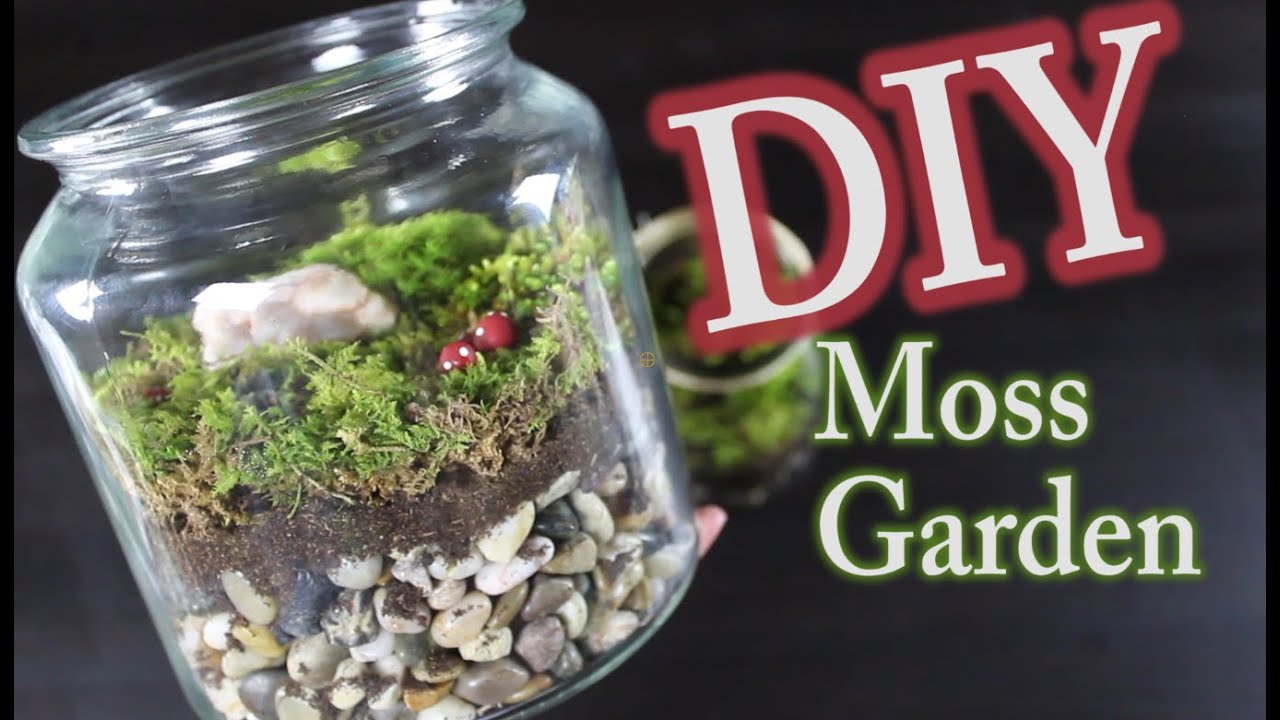 DIY Moss Terrarium:  How To Make A Moss Garden