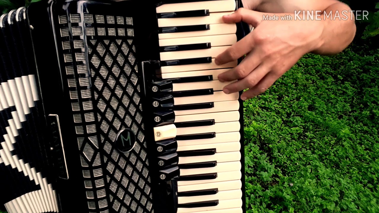 Música Hallelujah (Aleluia) no acordeon! [2019]🎶🎵