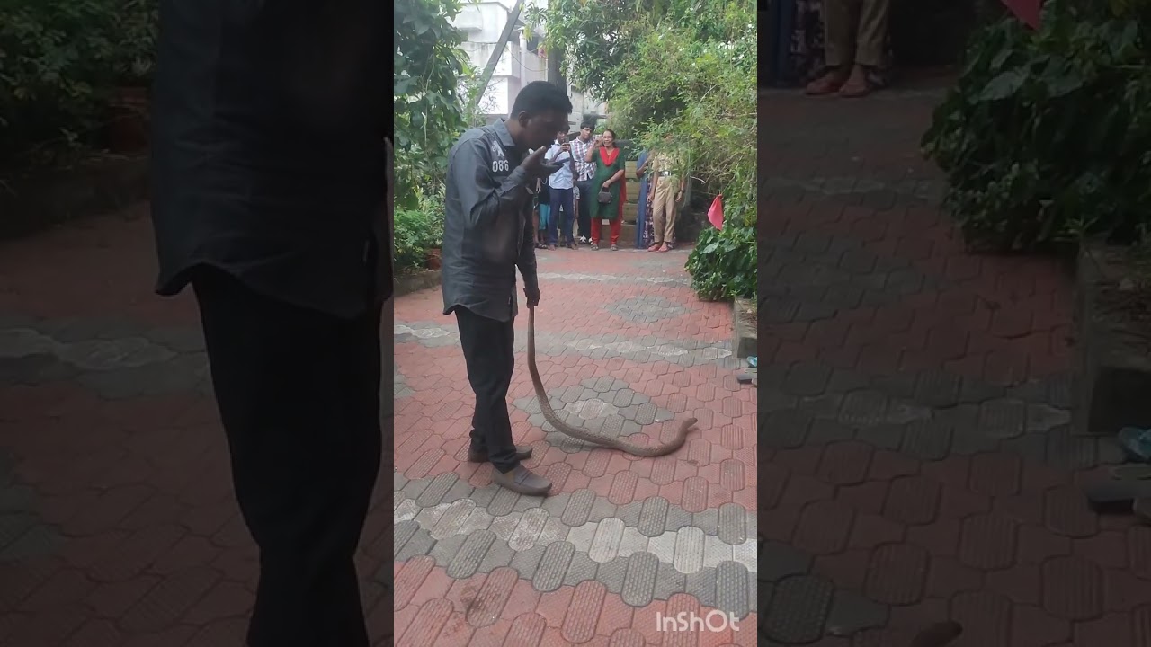 ഇത്🥺 കണ്ടോ 🥺