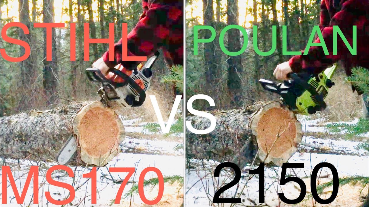 Stihl MS170 VS Poulan 2150 Woodsman
