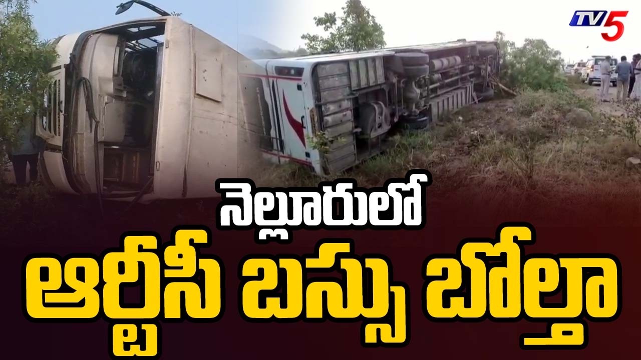నెల్లూరులో ఆర్టీసీ బస్సు బోల్తా - APSRTC Bus Overturns in Nellore District | TV5 News
