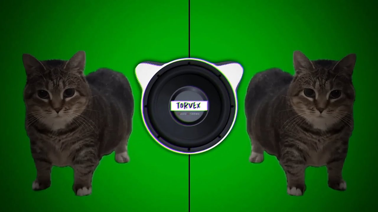 W&W - OIIA OIIA x Spinning Cat (Bass Boosted)