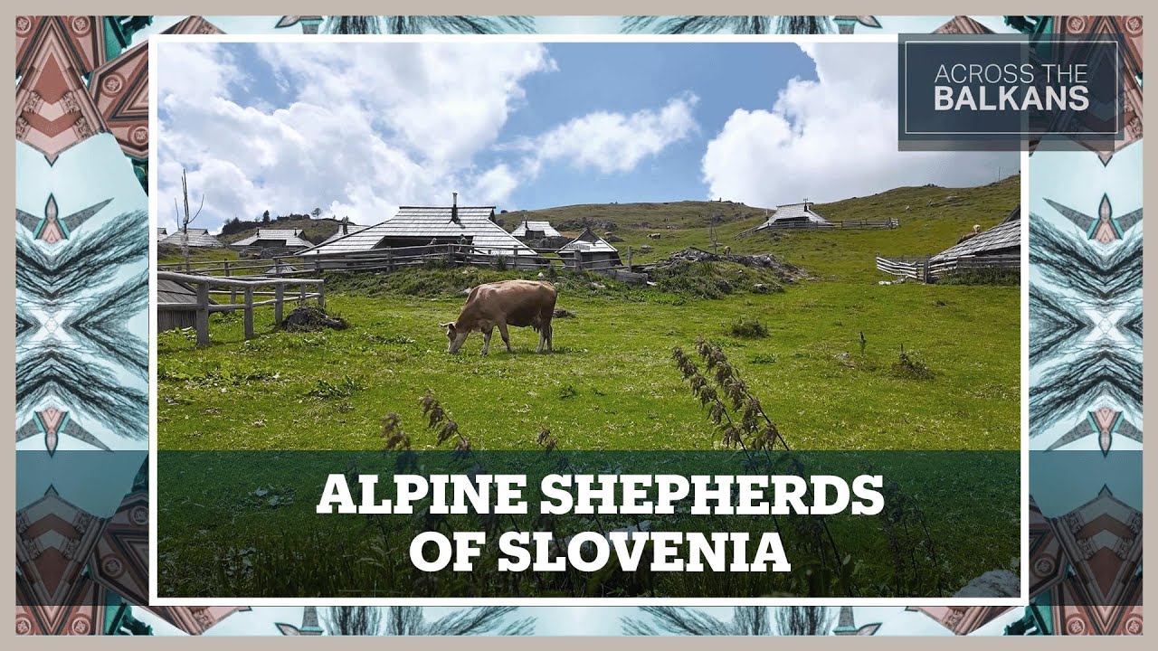 Where shepherds still roam: a journey to Velika Planina