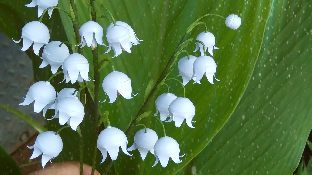 Diy Paper Quilling lily of the valley || Quilling Paper Art ||Kreatif