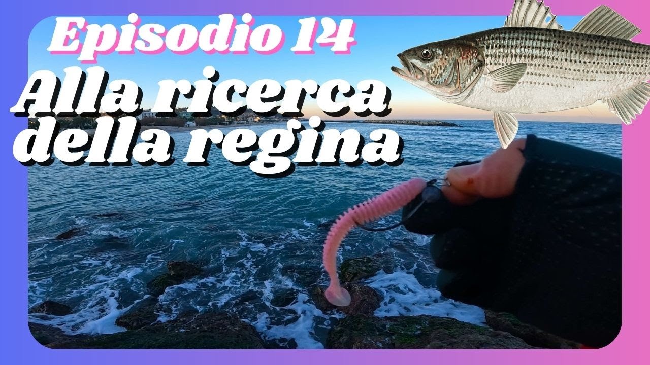 Pesca a spinning in mare da riva (Spinning fishing at sea from the shore)