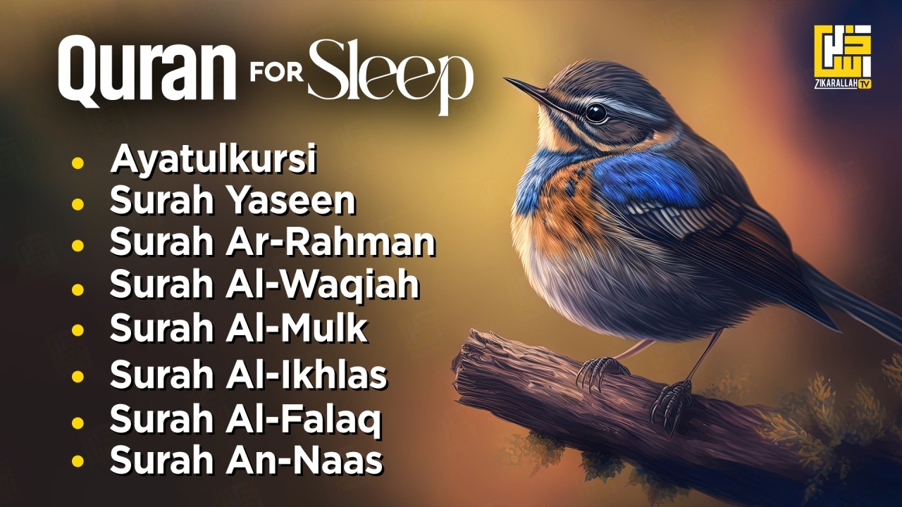 Relaxing Quran for Spiritual Healing | Ayatul Kursi, Al Fatiha, Surah Yasin, Ar Rahman, Waqiah, Mulk