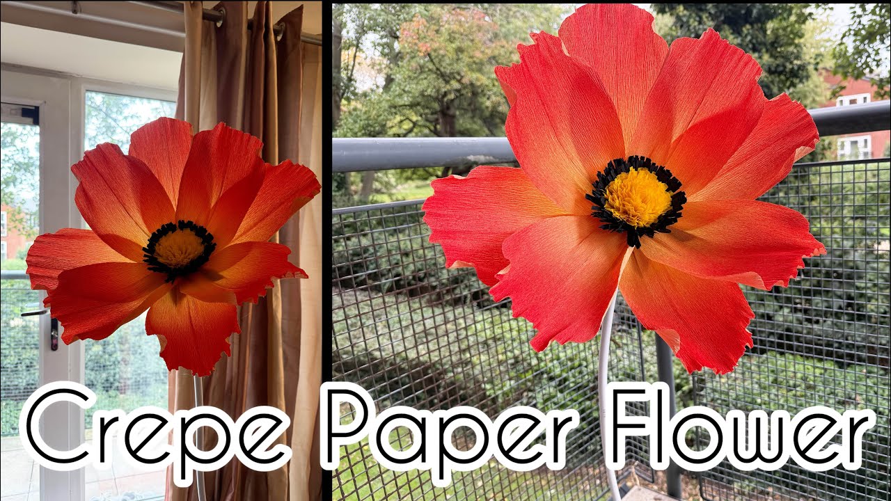How To Make Giant Crepe Paper Flower | DIY