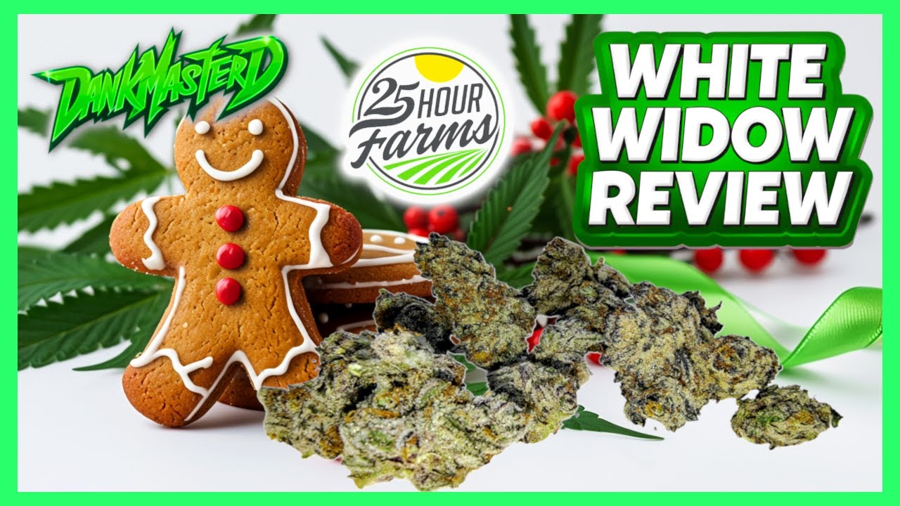 🌿💨 Обзор сорта White Widow THCA 🌈🔥 | Морозное удовольствие к праздникам 💥 | 25 Hour Farms