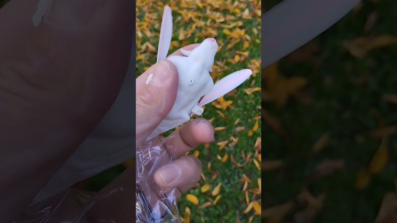 pêche avec Aliexpress