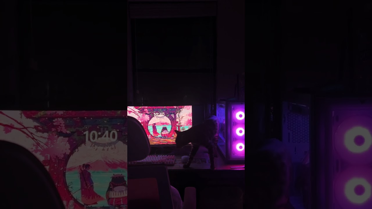 The perfect night for some cozy games ❤️⛈️                           