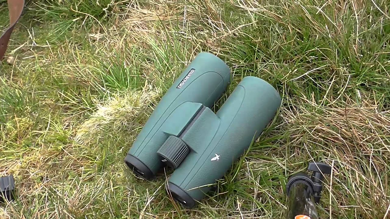 Бинокль Swarovski SLC 10x56. Альфа на всех парах.
