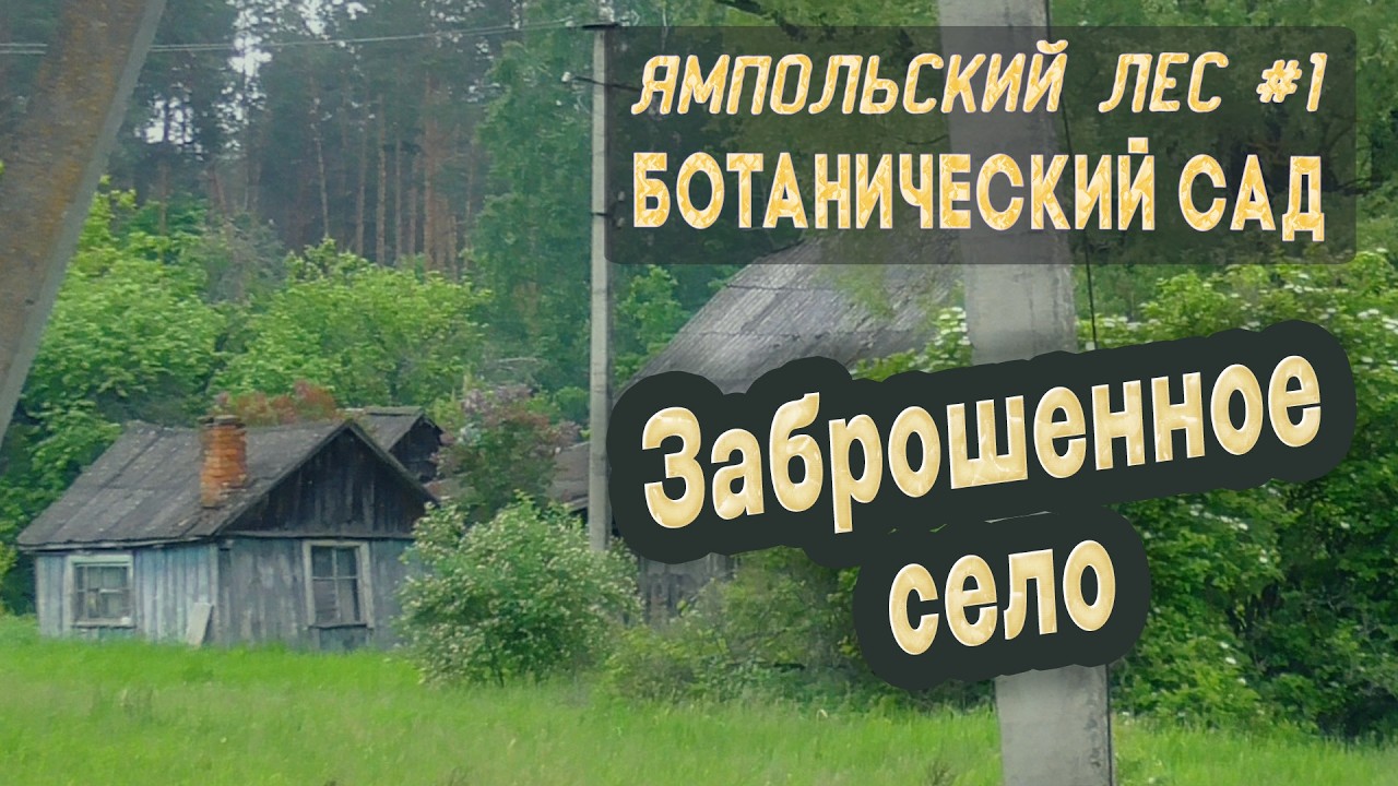 ⛺ Ямпольский лес #1. Большой поход! Ботанический сад. Заброшенное село Неплюево