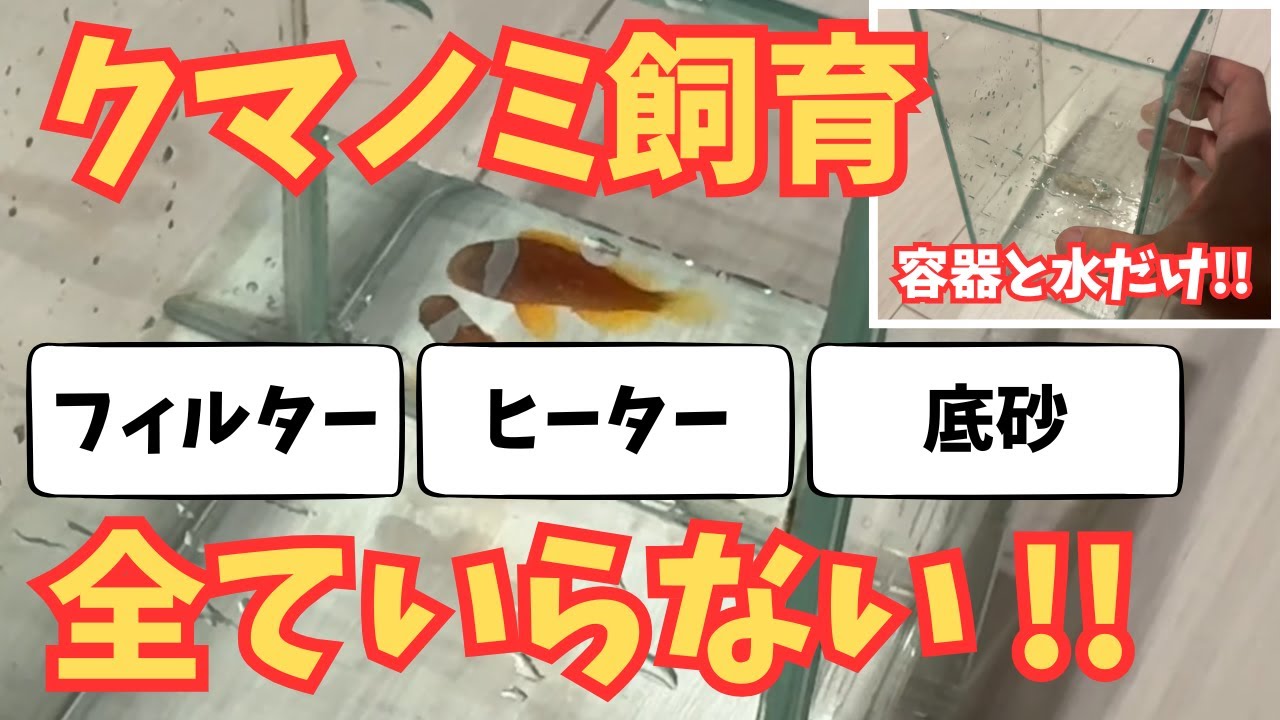 海水魚でボトルアクア！？海水魚と淡水魚の飼育の違いとは？