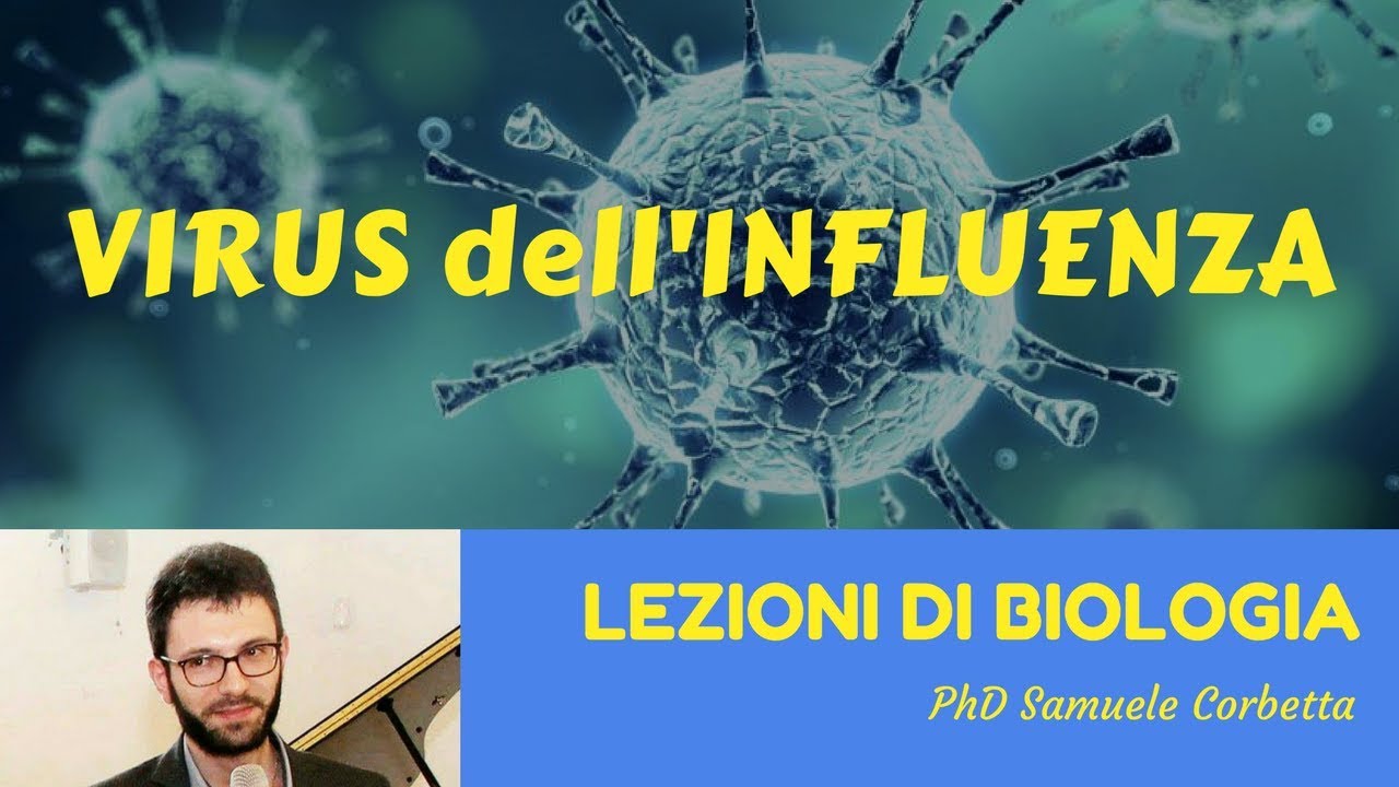 Virus dell'Influenza: cosa è, varianti 2017-2018 e vaccini - Lezioni di Biologia -