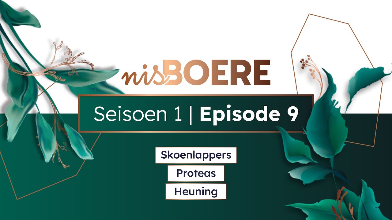 nisBOERE 1 | Episode 9 | Skoenlappers, Proteas en Heuning