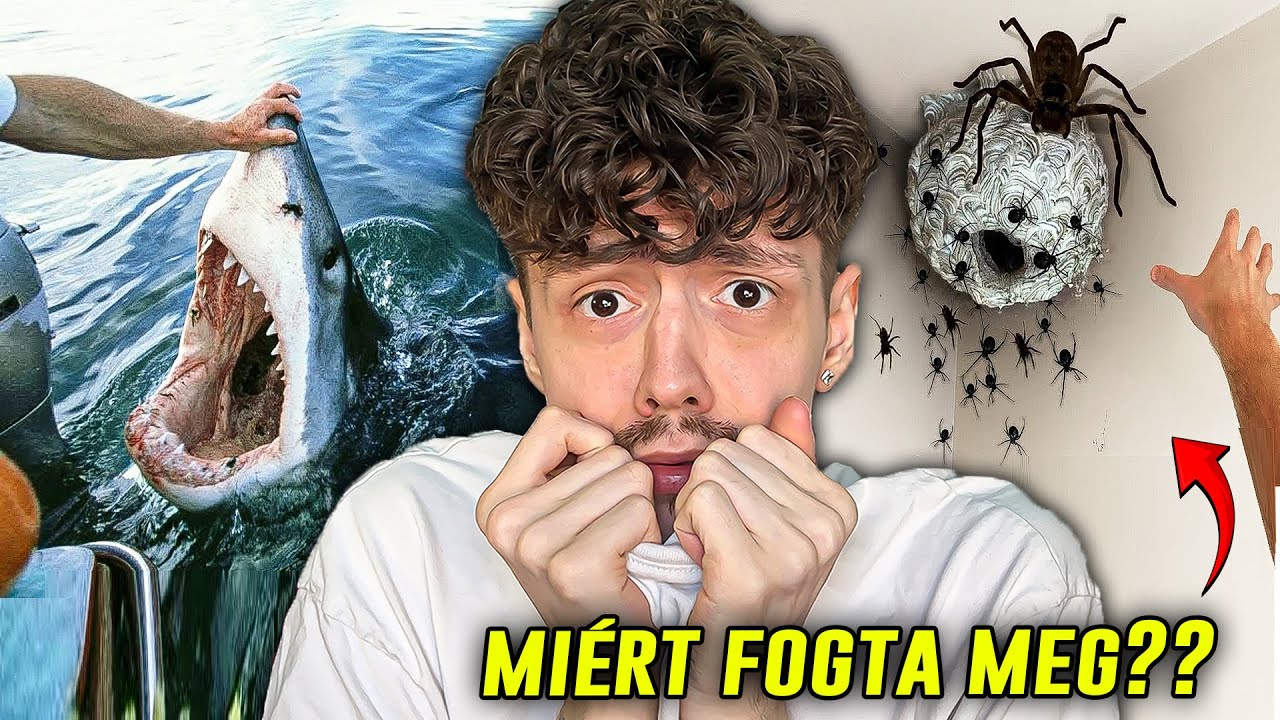 HÁTBORZONGATÓ ÁLLATOK, AMIKKEL NEM SZÍVESEN TALÁLKOZNÁL!!😨