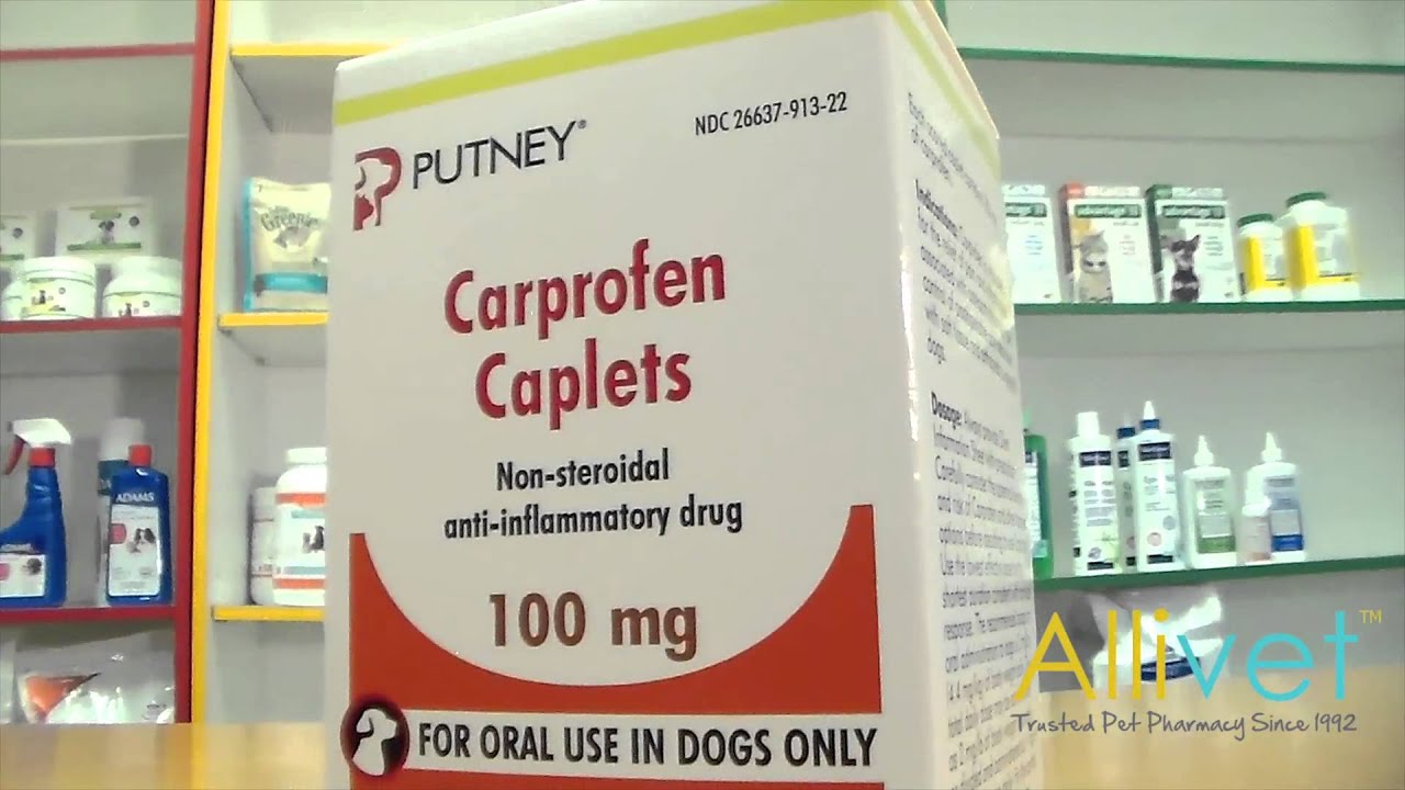 Carprofen Caplets for Dogs | Video | Allivet