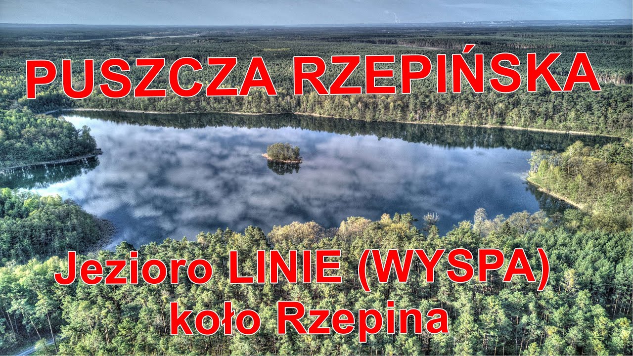Jezioro LINIE (WYSPA) koło Rzepina - PUSZCZA RZEPIŃSKA (woj.lubuskie)