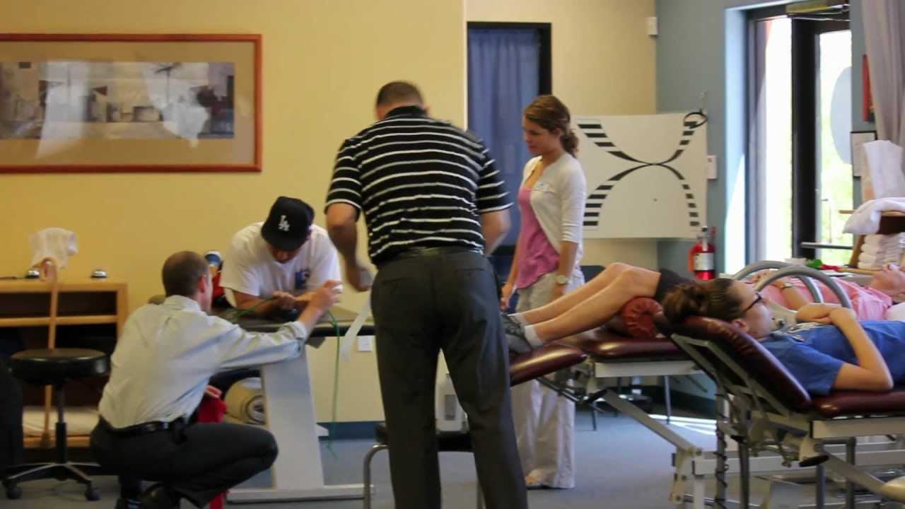 ProActive Physical Therapy (Joel Dvoskin)