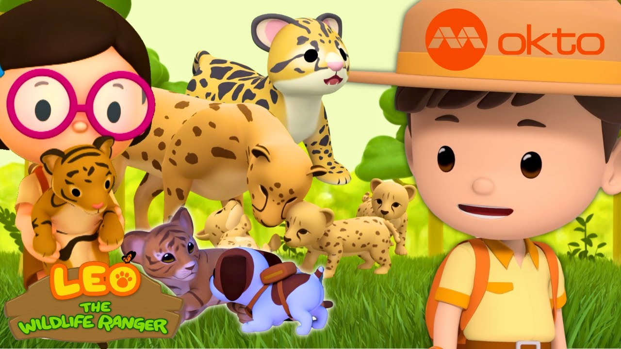 Cheetahs, Lions, Leopards... How many BIG CATS do you know? | Leo Compilation | @mediacorpokto