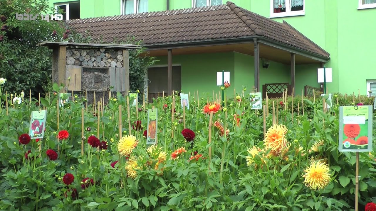 Bad Köstritz - blumig zum Dahlienfest