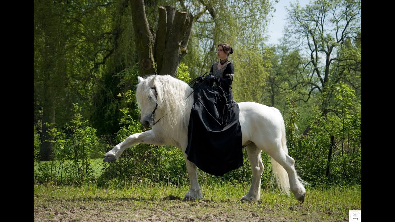 Damensattel Barockreiten  Zirkuslektionen, Grundgangarten