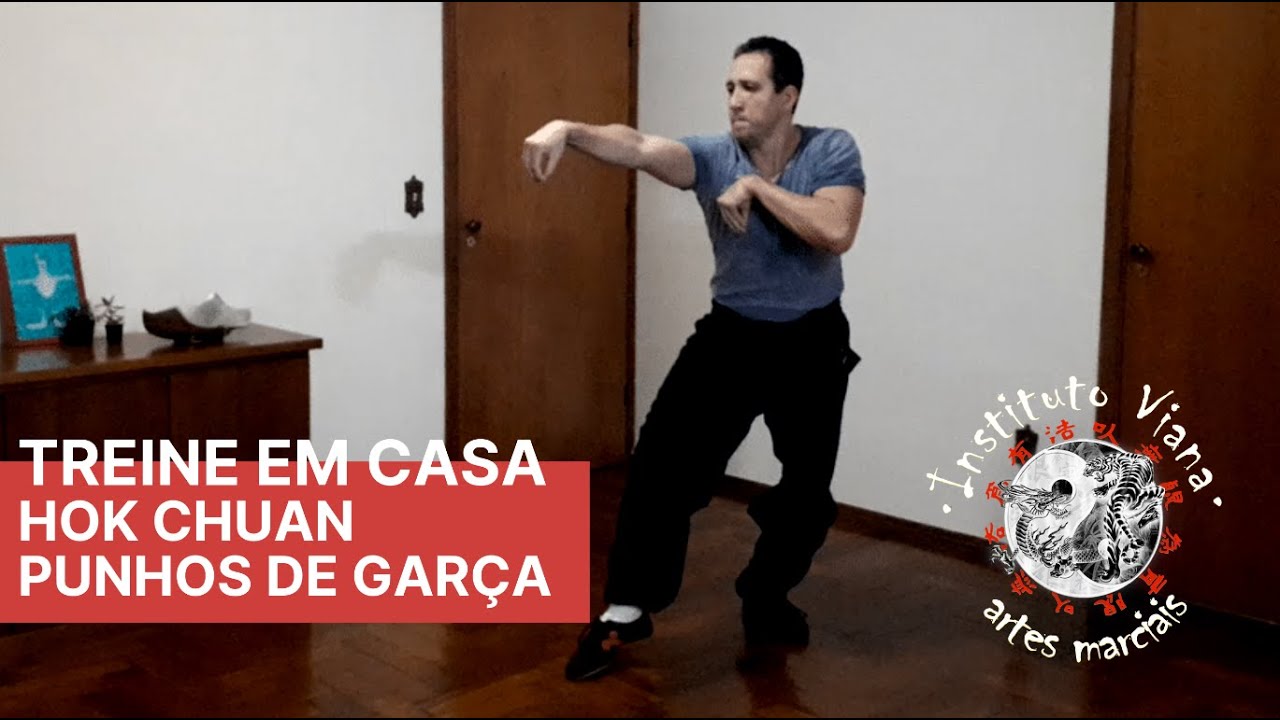Hok Chuan Fei Hok Phai Kung Fu Wushu