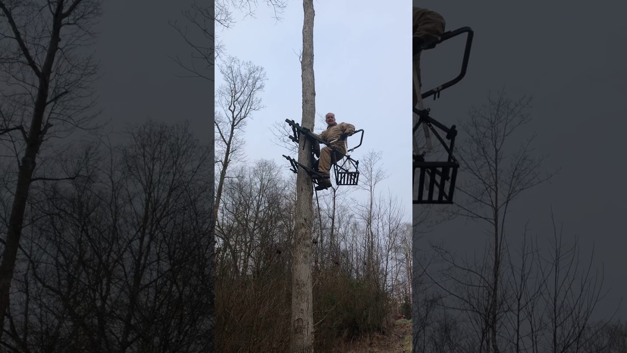 Descending in treelounge and using tree leveler