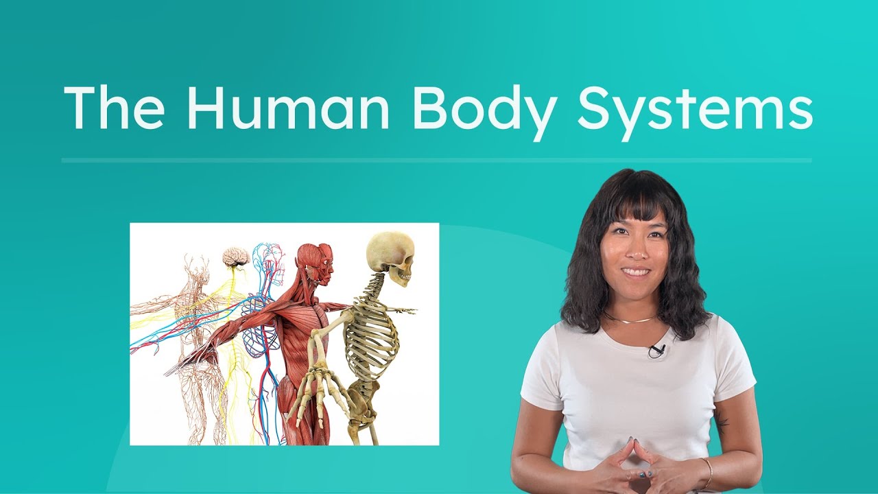 The Human Body Systems - Major Systems and Body Cavities