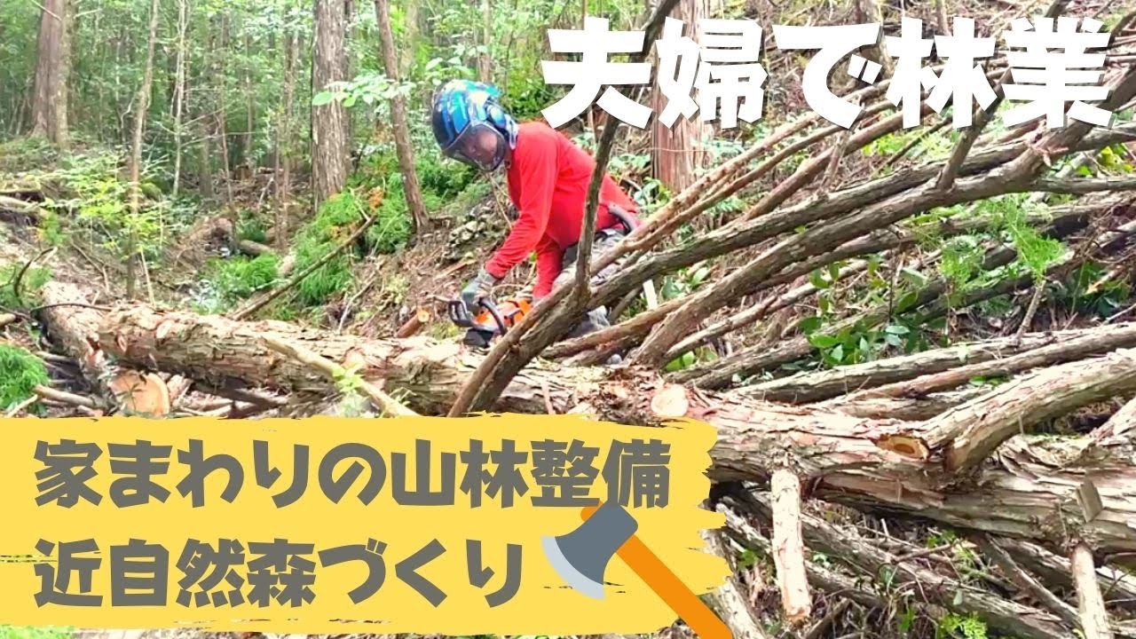 【夫婦で林業】シーズン再開！家まわりの山林整備【妻、林業存続の危機！？】