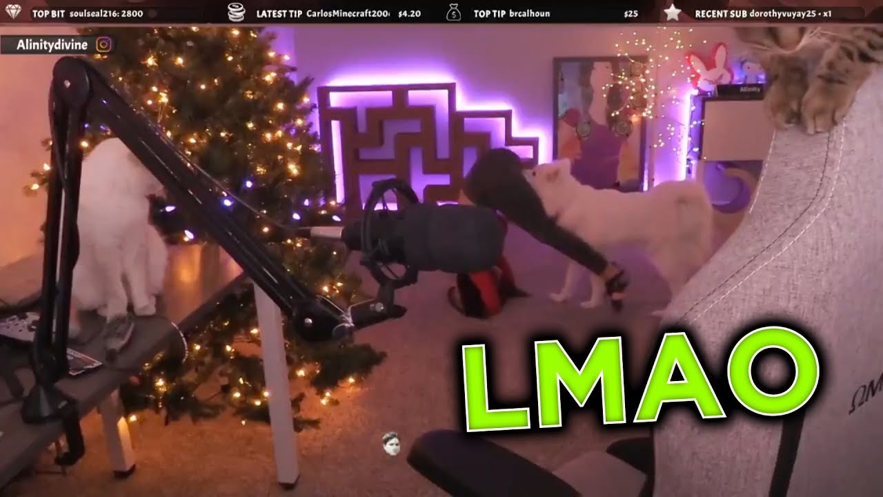 Alinity's Dog Gets A Big Whiff (She Isn't Happy)