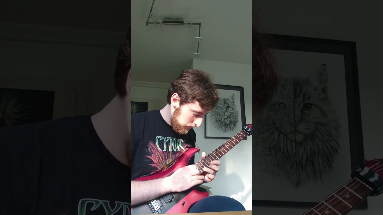 The most beautiful death metal  guitar solo! #necrophagist #guitarcover #guitarsolo