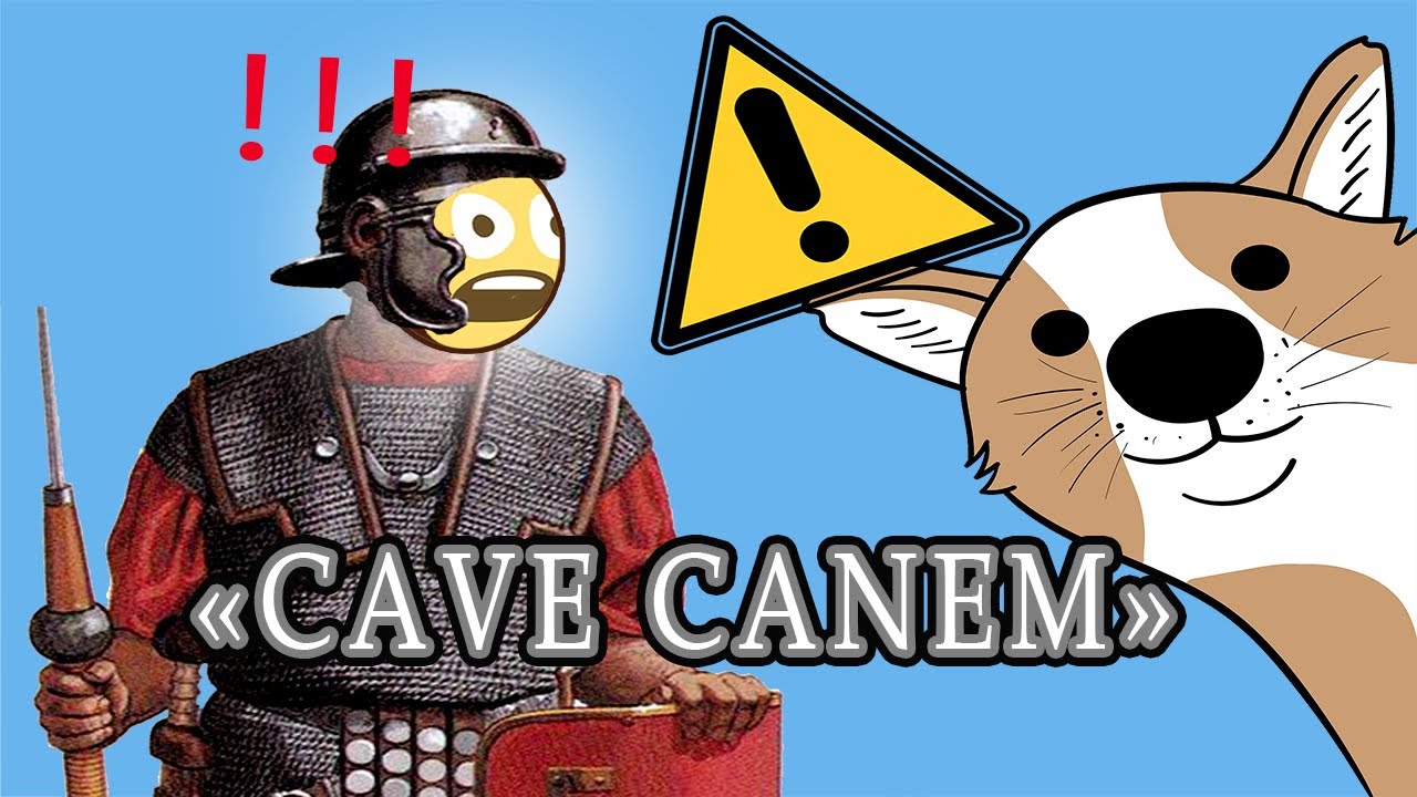 CAVE CANEM 🚨🐶 ? Pourquoi on dit ça ? - Expressions latines -