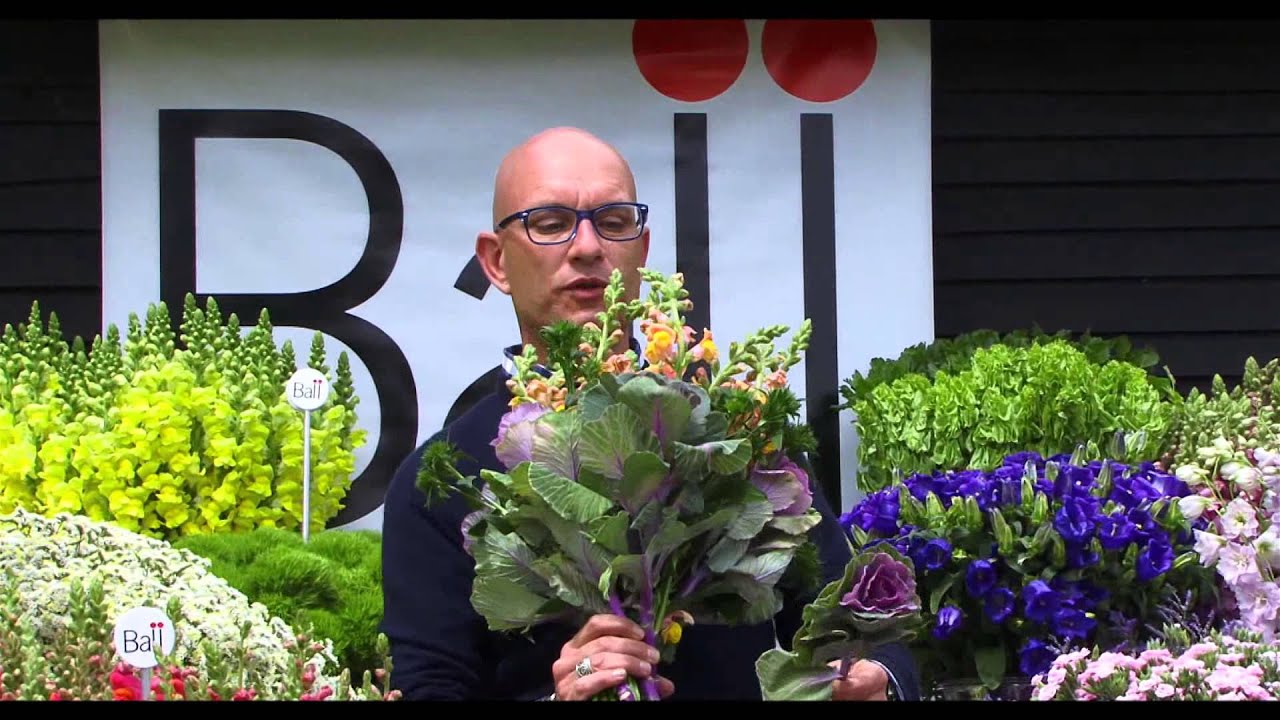 Snapdragon Tips & Culture