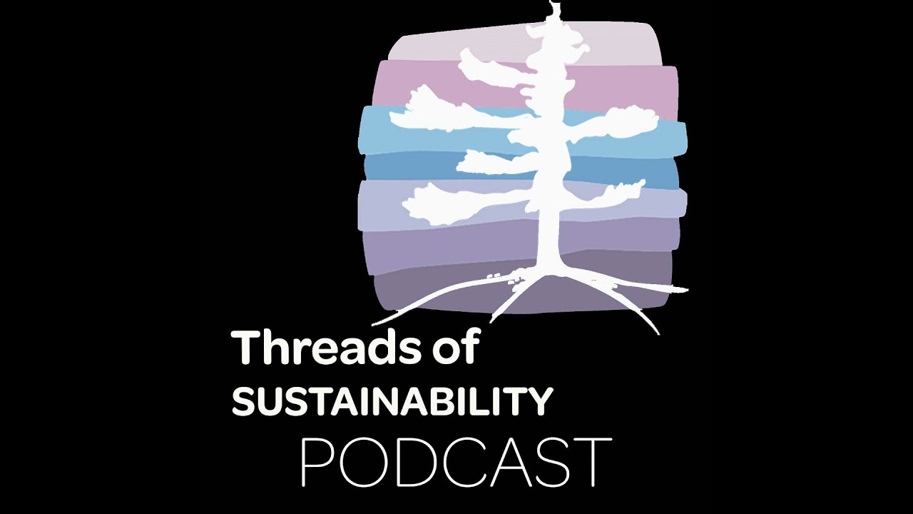 Episode 38: Rescuing Fabrics - A Sustainable Journey with Kathryn Swanson