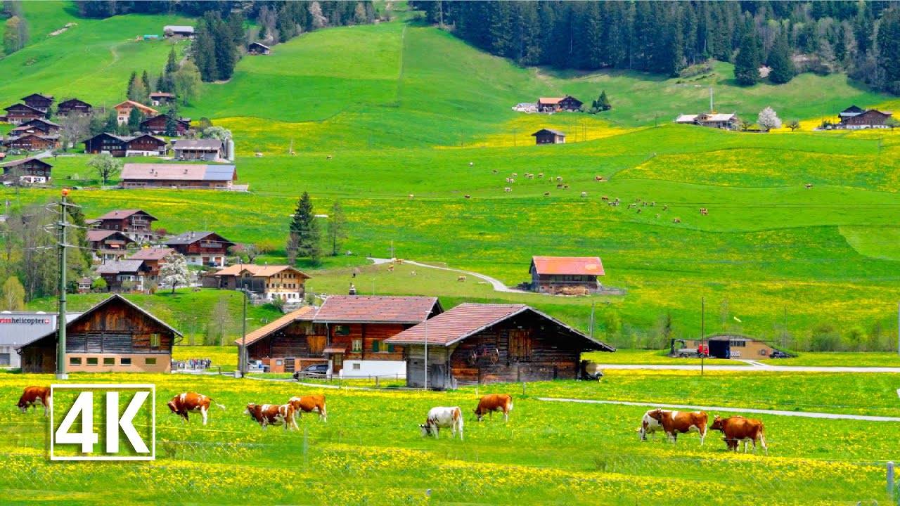 Switzerland 🇨🇭 Zweisimmen, the gateway to the world-famous Gstaad region