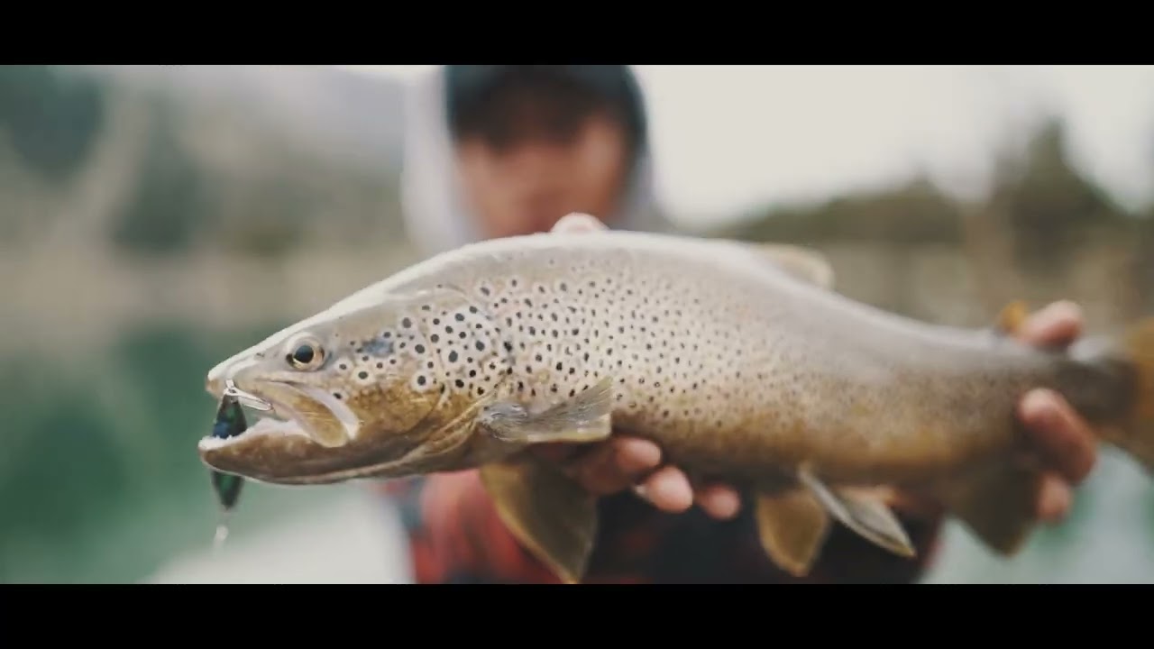 Pêche de la truite dans les lacs de montagnes ( Pyrénées)