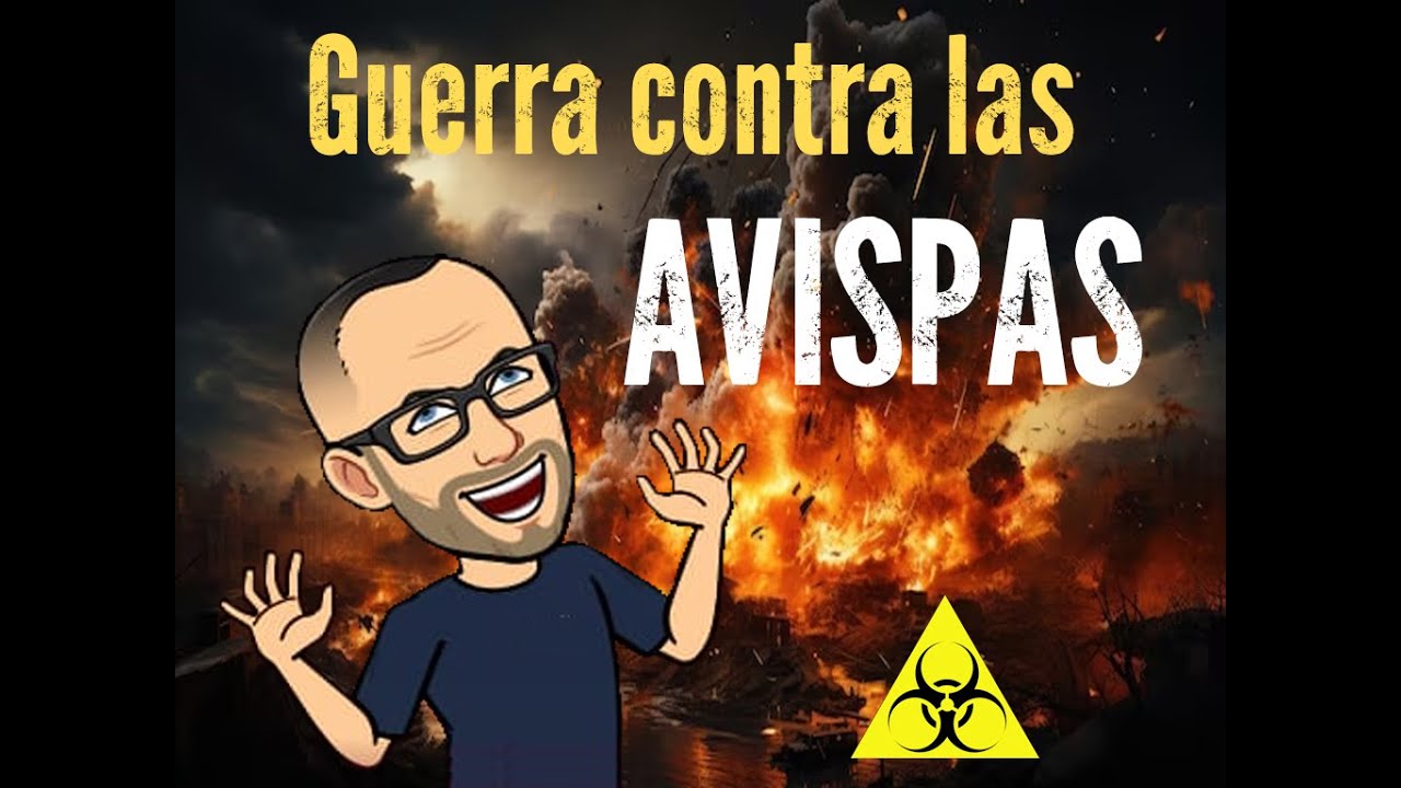 Como hacer trampa casera para las avispas