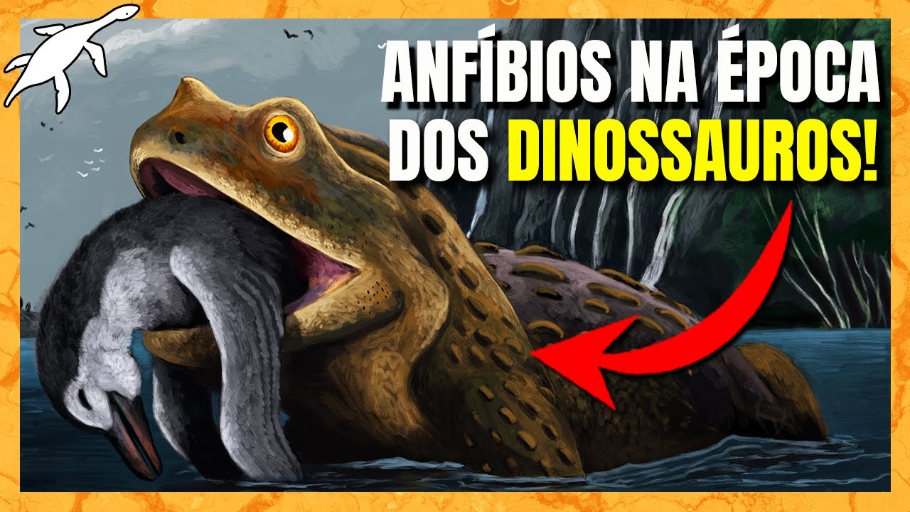 ORIGEM e EVOLUÇÃO de SAPOS, SALAMANDRAS e CECÍLIAS (Anfíbios parte 2)