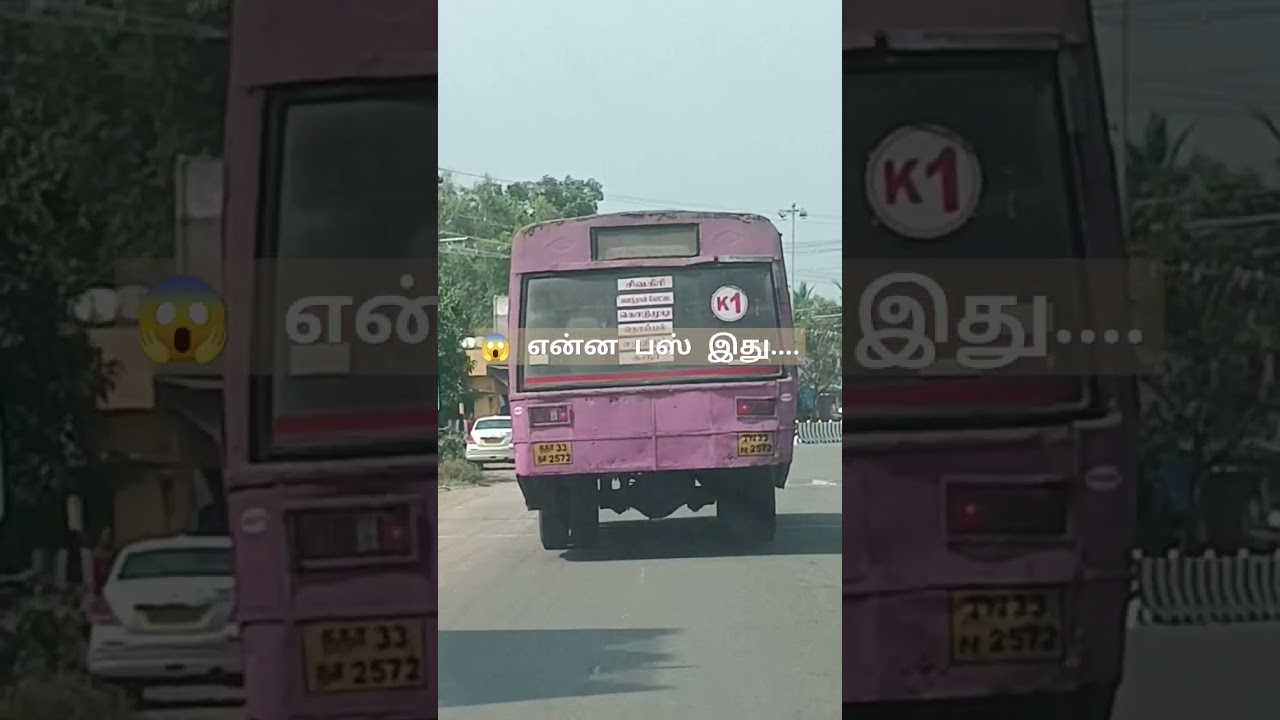 Chandanam Special #transportminister#tamilnadubus#safetravel#publictransport#trendingshorts #shorts