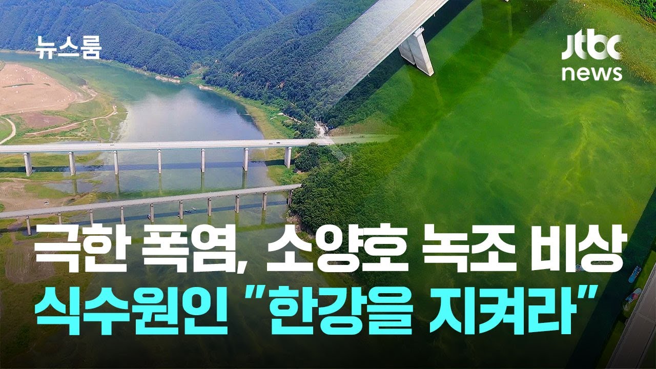 극한 폭염, 소양호 녹조 비상…식수원인 