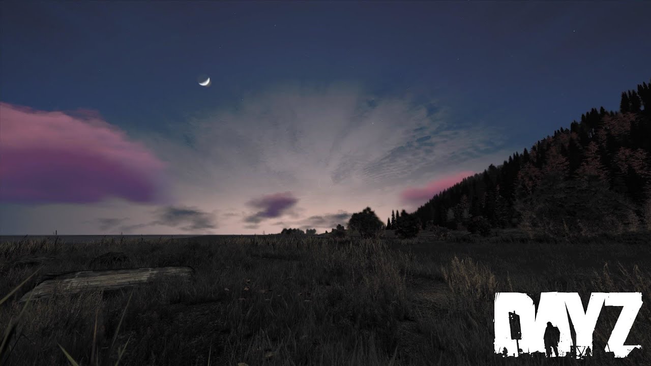 DayZ | DARK STAR PVE