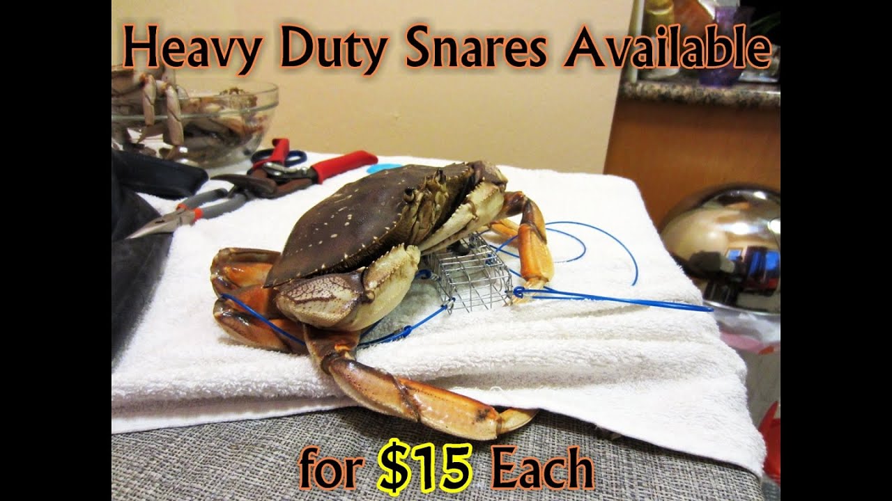 How to Make a Crab Snare: Detailed Description