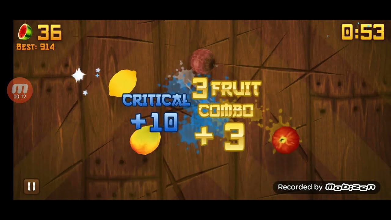 Fruit Ninja High Score 887